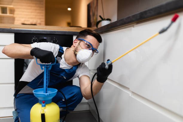 Best Pest Control Near Me  in Bridgeport, NE