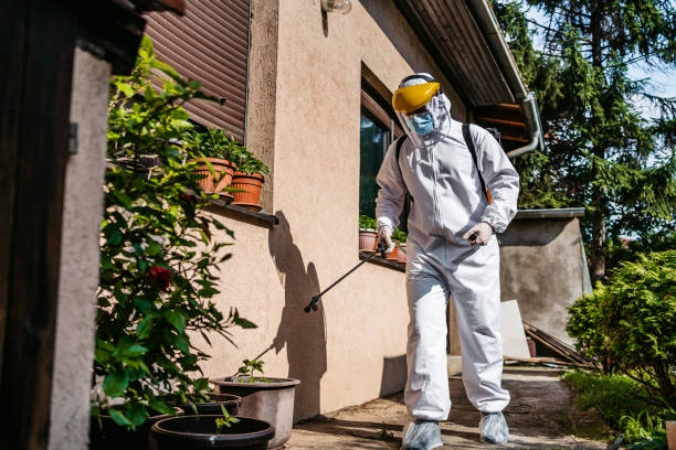 Flea Control Services in Bridgeport, NE