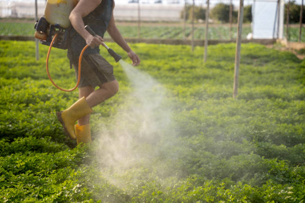 Best Pest Removal Services  in Bridgeport, NE