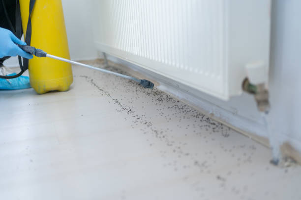 Best Rat Extermination Near Me  in Bridgeport, NE