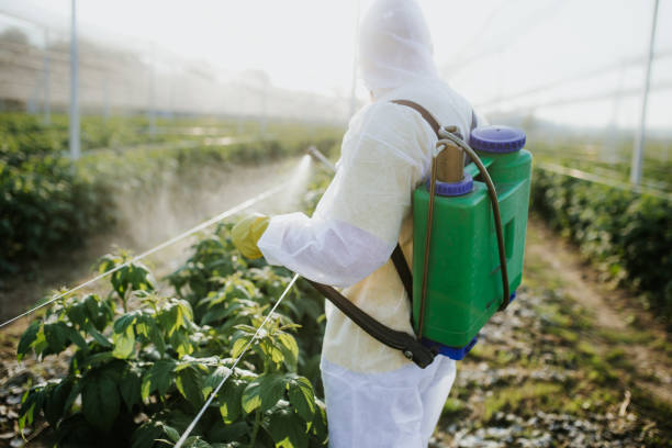 Best Mosquito Control Services  in Bridgeport, NE